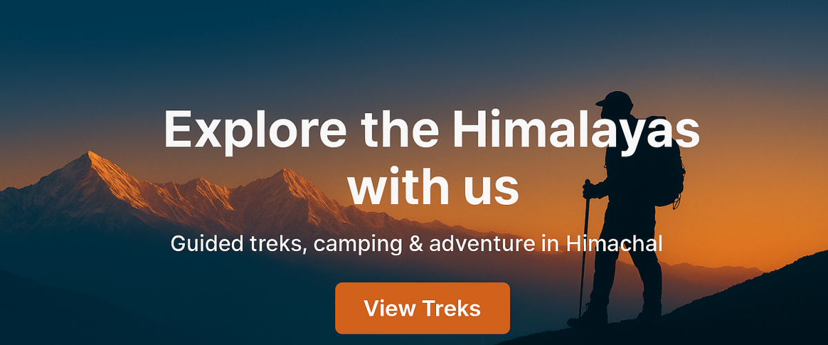 file_000000001e487209bbcd5a253ff161b2